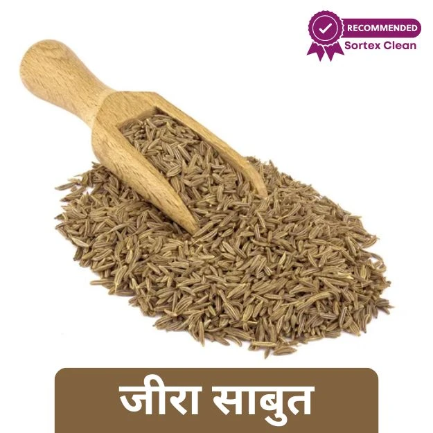 Jeera - Cumin/ Jira Khada( जीरा)