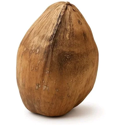 Nariyal Phal नारियाल (छिलका सहित)