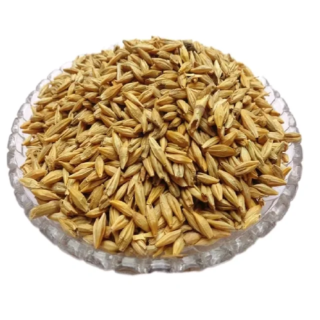 Jau/Juvar / Barley