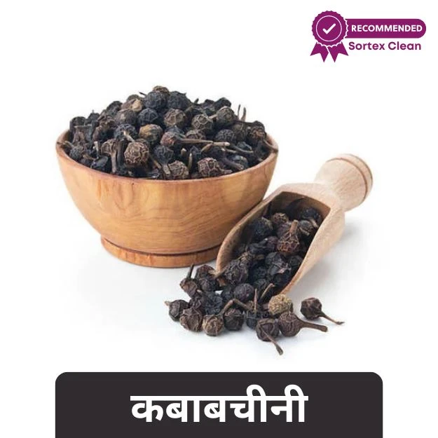 Kabab Chini - कबाब चीनी