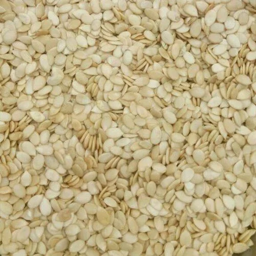 Magaj / Tarbooj Bij