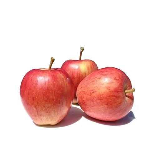 Apple (सेब)