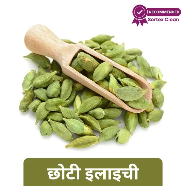 Choti Elaichi - छोटी इलायची