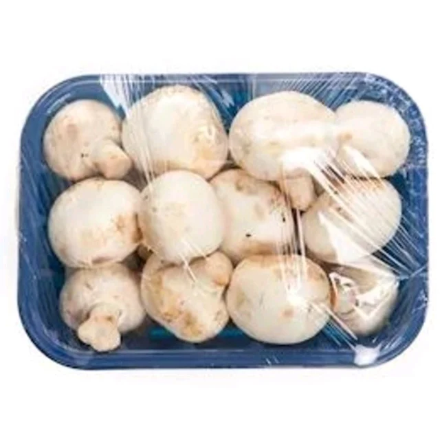 Mushroom Box