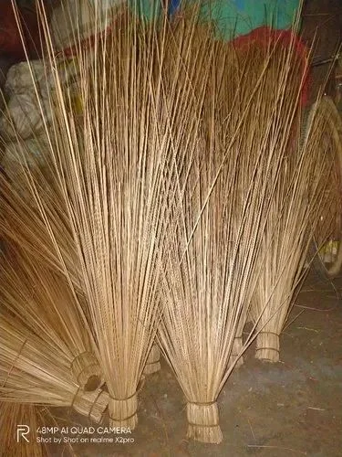 Nariyal Jharu